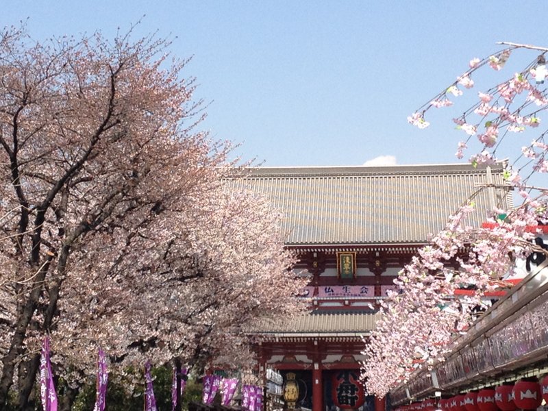 浅草寺.jpg