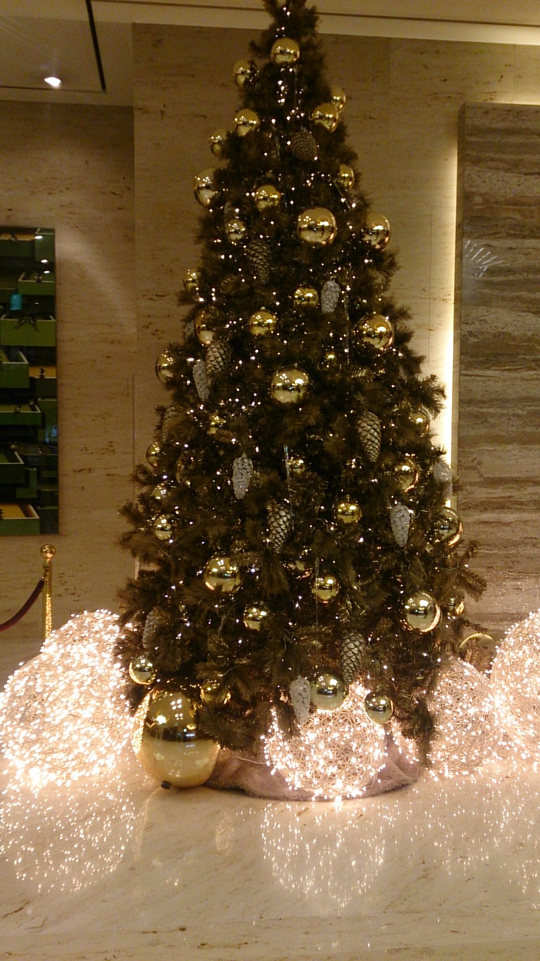 christmastree.jpg